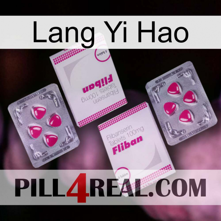Lang Yi Hao 33